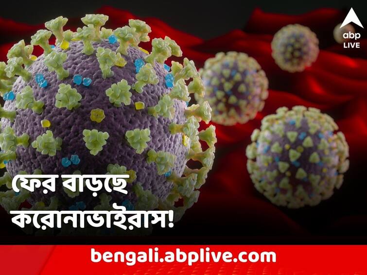 Amid Covid Surge In China Wear Masks In Crowded Places, Get Precaution Doses, Govt Advises Covid Mask Rule: ফের বাড়ছে করোনা, বছর শেষের আগেই ফিরছে মাস্ক বিধি!