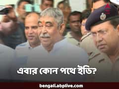 পুলিশ হেফাজতে অনুব্রত, এবার ইডি কী করবে? তাদের কাছে কী রাস্তা খোলা?