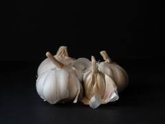 Garlic Benefits: हिवाळ्यात लसूण खाणे आरोग्यासाठी आहे फायदेशीर; वाचा सविस्तर!