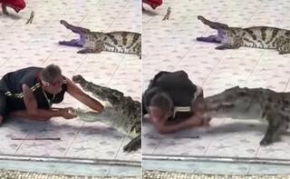 Viral Video: ਮਗਰਮੱਛ ਦਾ ਜਬਾੜਾ ਖੋਲ੍ਹ ਕੇ ਹੱਥ ਪਾ ਰਿਹਾ ਸੀ ਵਿਅਕਤੀ, ਉੱਦੋਂ ਹੀ 'ਪਾਣੀ ਦੇ ਜਲਾਦ' ਨੇ ਇੱਕ ਹੀ ਝਟਕੇ ਨਾਲ ਚਬਾਇਆ ਉਸ ਦਾ ਹੱਥ