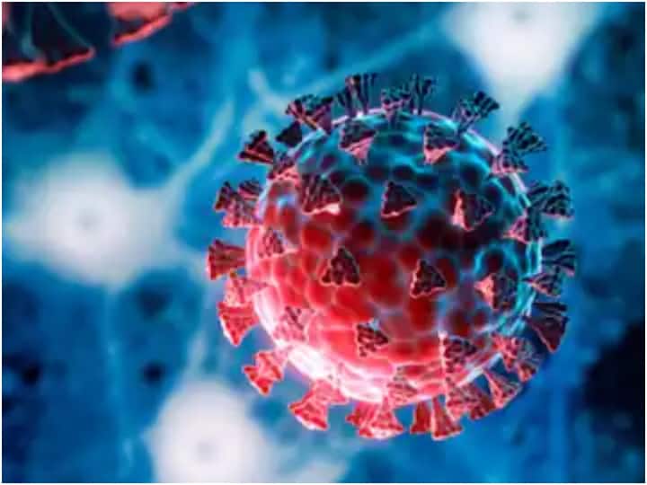 maharashtra News Aurangabad Corona Update Inmate of Hersul Jail Corona positive Health system on alert Aurangabad Corona Update: हर्सूल कारागृहातील कैदी कोरोना पॉझिटिव्ह, आरोग्य यंत्रणा सतर्क