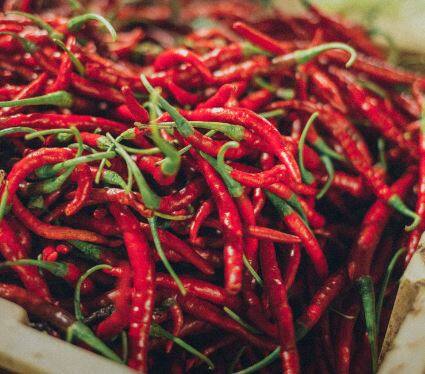 दुसरीकडं मिरचीला बाजार भाव चांगला मिळत असला तरी उत्पादन घटल्यानं दुष्काळात तेरावा महिना अशी गत शेतकऱ्यांची झाली आहे.