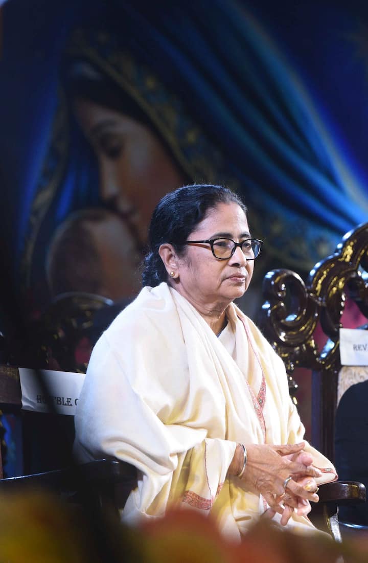 মমতা বন্দ্যোপাধ্যায় বলেন, 'একতাই শক্তি। দেশে ও বিশ্বে বজায় রাখতে হবে শান্তি সম্প্রীতি।'