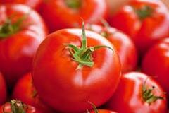 Tomato benefits:ટામેટાંના સેવનથી શરીરને થાય છે આ અદભૂત ફાયદા