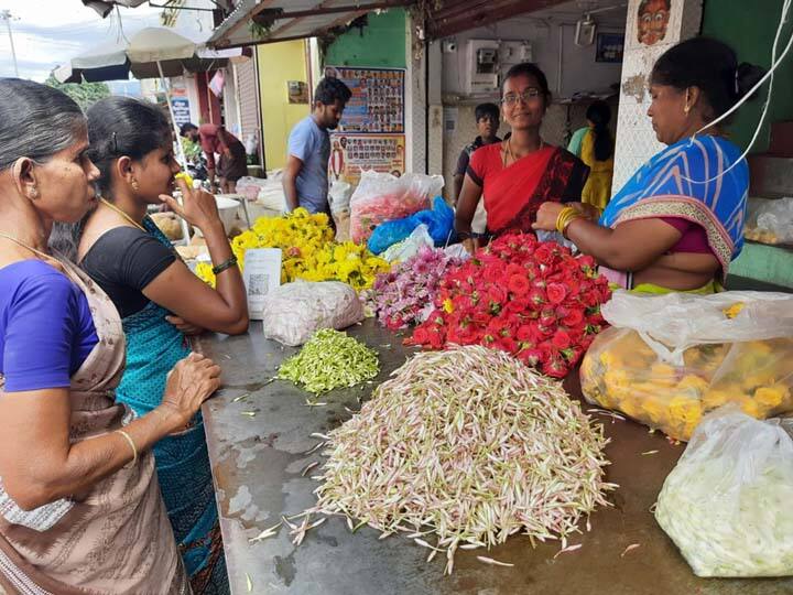 Theni: 1 kg of sentu flower is sold at Rs.50 to Rs.60. Farmers are worried TNN தேனி : கடும் பனிப்பொழிவால்  1 கிலோ செண்டு பூ ரூ.50 முதல் 60 வரை விற்பனை - விவசாயிகள்  கவலை