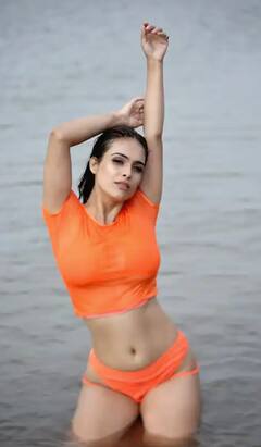 Rani Chatterjee ਤੋਂ ਲੈ ਕੇ Monalisa ਤੱਕ ਭਗਵੇਂ ਪਹਿਰਾਵੇ ਵਿੱਚ ਭੋਜਪੁਰੀ ਸੁੰਦਰੀਆਂ ਨੇ ਫੈਲਾਈ ਗਲੈਮਰ