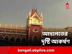 'কেন রোল নম্বর এবং জন্ম তারিখ না দিলে ওএমআর দেখা যাচ্ছে না?' প্রশ্ন বিচারপতির