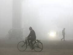 Dense Fog Reduces Visibility In Part Of Haryana, Punjab