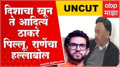 Narayan Rane Full PC on Disha Salian Case : पहिल्या दिवसापासून मी म्हणतोय हा खून, हे दडपण्यात आलंय