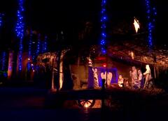 SEE PICS: Christmas Celebration Begins At American College in Madurai