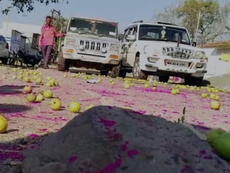 opposition planted lemons and crushed them under the car as soon as the rulers elected in sangli Sangli News : विरोधकांनी उताऱ्यात लिंबू पुरले अन् सत्ताधाऱ्यांनी निवडून येताच गाडीखाली चिरडले! सांगली जिल्ह्यातील प्रकार 