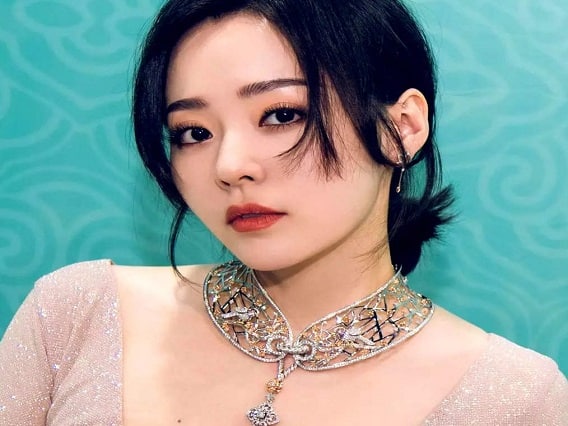 Chinese Singer Jane Zhang: ચીનની સિંગર જેન ઝાંગ જાણી જોઈને થઈ કોરોના પોઝિટિવ, લોકોએ લીધો ઉધડો