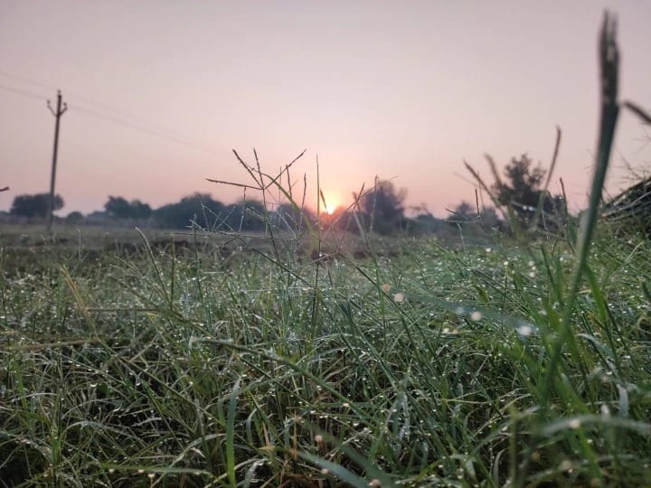 আগামী ৪৮ ঘণ্টায় ঘন কুয়াশা উত্তরবঙ্গের মালদা ও দুই দিনাজপুরে। হালকা মাঝারি কুয়াশা থাকবে উত্তরবঙ্গের অন্যান্য জেলাতে।