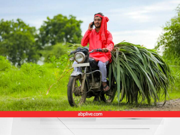 UP Government Issued Helpline Number for Problem Solving of Sugarcane Farmer Helpline Number: गन्ना किसानों के लिए खुशखबरी! यहां फोन कॉल करके दूर करें अपनी हर समस्या, 24X7 मिलेगी सुविधा