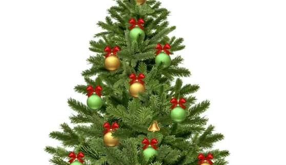 Christmas tree vastu tips Christmas tree removes negativity know the right way to decorate Christmas Tree Vastu Tips:ક્રિસમસ ટ્રી દૂર કરે છે વાસ્તુ દોષ, આ છે તેને લગાવાની યોગ્ય રીત