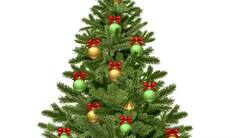 Christmas Tree Vastu Tips:ક્રિસમસ ટ્રી દૂર કરે છે વાસ્તુ દોષ, આ છે તેને લગાવાની યોગ્ય રીત