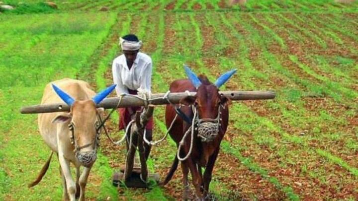 National Farmer's Day 2022 know history significance and importance of the day marathi news National Farmer's Day 2022 : आज 'शेतकरी दिन', बळीराजाच्या नावानं साजरा होणाऱ्या या दिवसाचं महत्व काय?