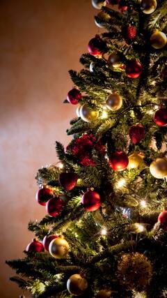 Christmas 2022 Wishes: டாப் 10 கிறிஸ்துமஸ் தின வாழ்த்துக்கள் இதோ!