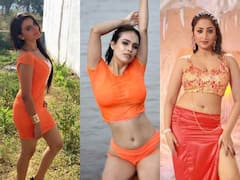 Rani Chatterjee से Monalisa तक, भगवा रंग पहने भोजपुरी हसीनाओं ने बिखेरा ग्लैमर का जलवा