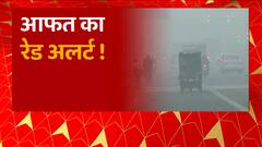 Noida Fogg: नोएडा में सड़कों पर छाया कोहरा, वाहनों की रफ्तार को कम करने के निर्देश जारी