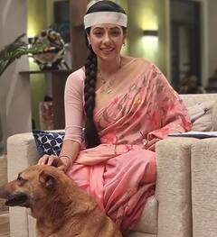 Year Ender 2022: ‘अनुपमा’ से लेकर ‘गुम है किसी के प्यार में’ तक, इस साल खूब चर्चा में रहे ये पॉपुलर टीवी शोज, देखें लिस्ट