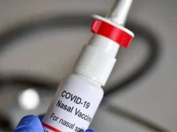 What exactly is Nasal Vaccine and how does it work? To what extent the risk of corona can be avoided with this booster dose. Know complete information આખરે શું છે Nasal વેક્સિન અને કેવી રીતે કામ કરે છે? આ બુસ્ટર ડોજ થી કેટલી હદ સુધી ટળી શકશે કોરોનાનું જોખમ. જાણો સંપૂર્ણ માહિતી 