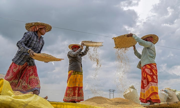 কৃষকদের আত্মত্যাগ ও পরিশ্রমকে মর্যাদা দেওয়ার কথা বলে জাতীয় কৃষক দিবস। কৃষকদের সামাজিক ও অর্থনৈতিক নিরাপত্তা নিয়ে সাধারণ নাগরিকদের মধ্যে সচেতনতা প্রসার করা হচ্ছে। সরকারের তরফ থেকে কৃষকদের আর্থিক উন্নয়ন নিয়ে চিন্তা করা হচ্ছে। কীভাবে, কোন পদ্ধতিতে আরও বেশি উৎপাদন সম্ভব তা নিয়ে কৃষকদের সাহায্য করছে সরকার। সব ছবি: PTI