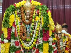 அனந்தமங்கலம் ஶ்ரீ இராஜகோபால சாமி கோயில் அனுமன் ஜெயந்தி விழா - திரளான பக்தர்கள் சாமி தரிசனம்