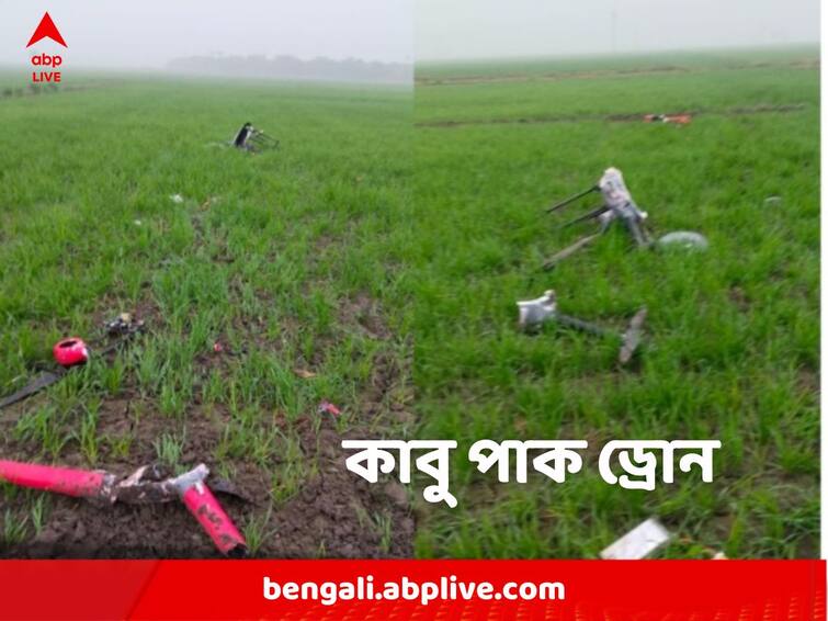 Pakistan drone shot down by bsf at india pakistan border punjab Pakistan Drone: ফের ভারতের আকাশে পাক ড্রোন, গুলি করে নামাল বিএসএফ