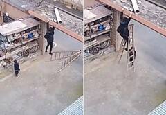 Viral Video: ਢਾਈ ਸਾਲ ਦੇ ਬੱਚੇ ਨੇ ਬਚਾਈ ਆਪਣੀ ਮਾਂ ਦੀ ਜਾਨ, ਪੌੜੀ ਡਿੱਗਣ ਕਾਰਨ ਖੰਭੇ 'ਤੇ ਲਟਕ ਰਹੀ ਸੀ, ਇਸ ਬੱਚੇ ਨੂੰ ਸਲਾਮ