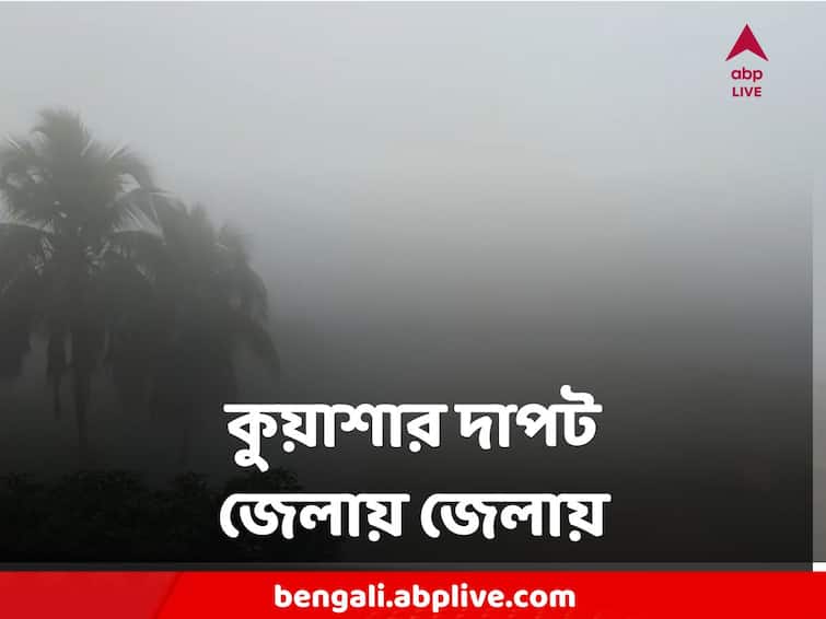 West Bengal Weather Update Report: Get to know about weather forecast of  Kolkata Maldastrict today from West Bengal 25June West Bengal Winter Weather Update : আরও নামল পারদ, কনকনে মহানগর, মালদায় কুয়াশায় ঠাহর হচ্ছে না কিছুই