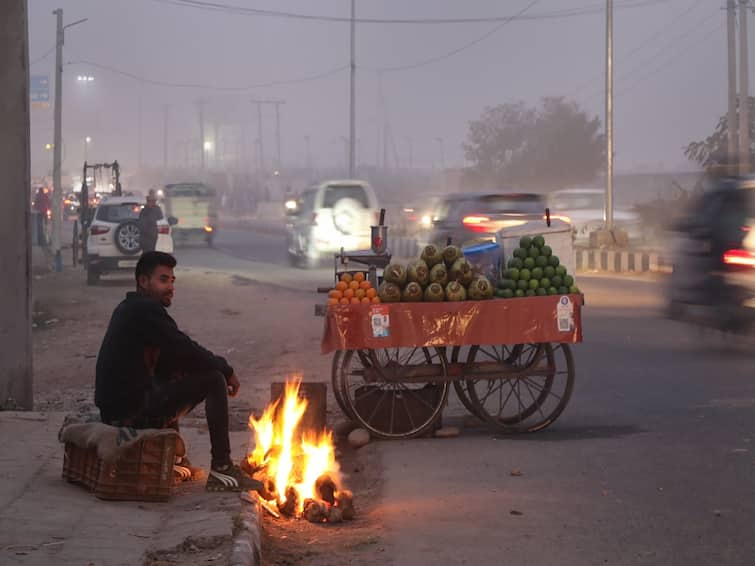 Gujarat Weather Update: Cold wave to hit Kutch and Naliya in two days Gujarat Weather: ગુજરાતમાં આ વિસ્તારમાં પડશે હાડ થીજવતી ઠંડી, જાણો હવામાન વિભાગે શું કરી આગાહી