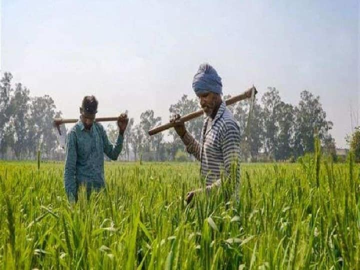UP Govt Will Provide 56 crore 38 lakh Rupees Compensation for Loss in Rabi Crops see full details Crop Loss Compensation: बारिश, ओलावृष्टि से रबी फसलों में नुकसान की होगी भरपाई , 56.38 करोड़ का मुआवजा जारी करेगी ये सरकार