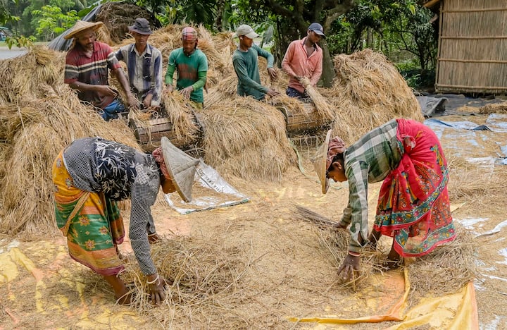 সমাজের প্রতি কৃষকদের অবদান মনে রাখতেই জাতীয় কৃষক দিবস পালন করা হয়। অর্থনীতির ভিত্তি হিসেবে কাজ করেন কৃষকরা। গ্রামীন অর্থনীতির সঙ্গে পুরোপুরি জড়িয়ে রয়েছে কৃষিকাজ।