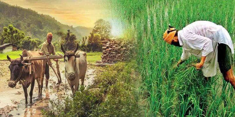National Farmer's Day 2022 History, significance and everything you need to know about Kisan Diwas National Farmer's Day 2022: ਦੇਸ਼ ਭਰ ਵਿੱਚ ਮਨਾਇਆ ਜਾ ਰਿਹਾ ਰਾਸ਼ਟਰੀ ਕਿਸਾਨ ਦਿਵਸ, ਜਾਣੋ ਇਸਦਾ ਇਤਿਹਾਸ ਅਤੇ ਮਹੱਤਵ