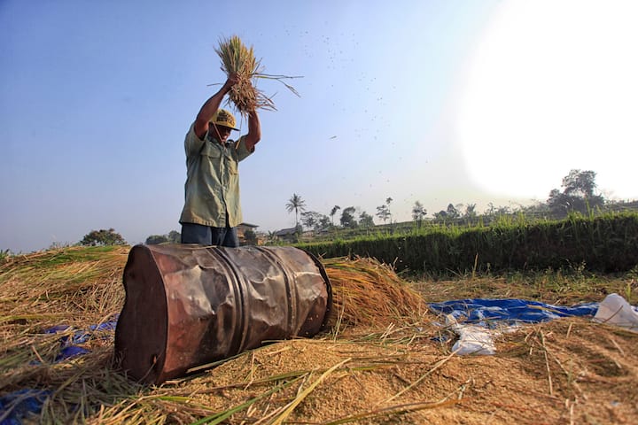 তিনি কৃষক আন্দোলনের সঙ্গে যুক্ত ছিলেন। দেশের প্রান্তিক মানুষদের অধিকার নিয়ে নানা ভাবে কাজ করেছিলেন চৌধুরী চরণ সিং।