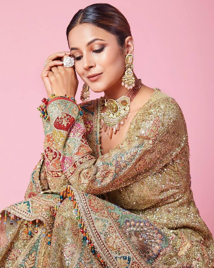 बता दें कि शहनाज गिल की सोशल मीडिया पर काफी लगड़ी फैन फॉलोइंग हैं. जो उनकी हर पोस्ट पर बेशुमार प्यार लुटाती है.