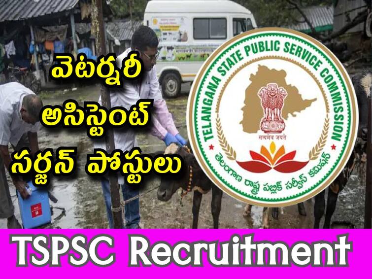 TSPSC Has Released Notification for the recruitment of Veterinary Assistant Surgeon Posts in Veterinary and Animal Husbandry Department TSPSC VAS Recruitment: తెలంగాణలో 185 వెటర్నరీ అసిస్టెంట్ సర్జన్ ఉద్యోగాలు, ఈ అర్హతలుండాలి!