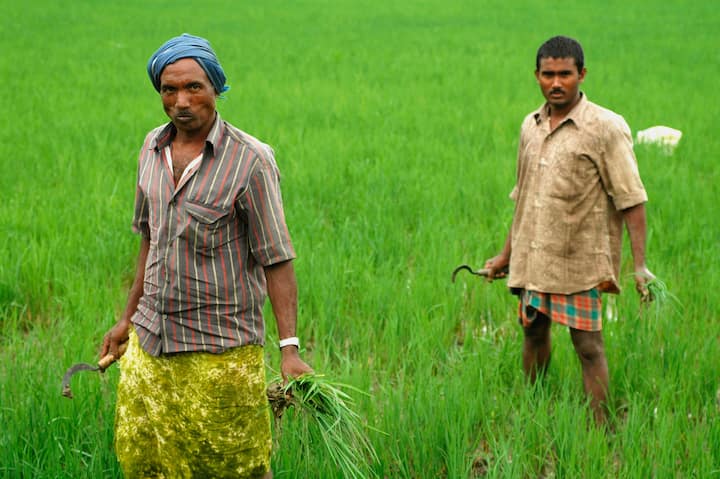 ভারতের গ্রামীন বাসিন্দার অর্ধেকই জড়িয়ে রয়েছেন কৃষিকাজের সঙ্গে। ভারতের দশম কেন্দ্রীয় সরকার প্রাক্তন প্রধানমন্ত্রী চৌধুরী চরণ সিংহের জন্মদিবস জাতীয় কৃষক দিবস হিসেবে পালন করার সিদ্ধান্ত নেয়।