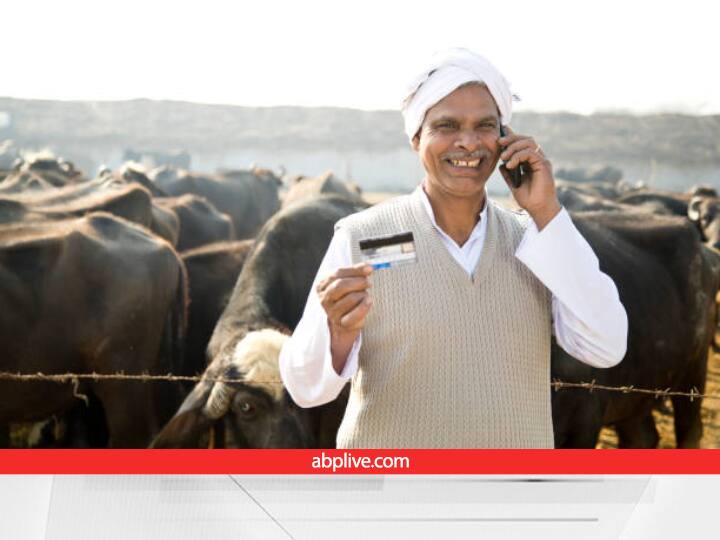 Govt Provide Up to 3 lakh Rupees Loan on Pashu Kisan Credit Card to buy Cow Buffalo Goat and Other Cattles Pashu KCC: अगर आपके पास भी है ये कार्ड तो आज ही घर ला सकते हैं दुधारु पशु, बस पूरी कर लें ये फॉर्मेलिटी