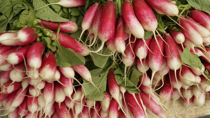 टीप : वरील सर्व बाबी एबीपी माझा केवळ माहिती म्हणून वाचक-प्रेक्षकांपर्यंत पोहोचवत आहे. यातून एबीपी माझा कोणताही दावा करत नाही. त्यामुळे कोणतेही उपचार, डाएट आणि औषधं तज्ज्ञांच्या सल्ल्यानं घ्यावीत. (सर्व फोटो सौजन्य:unsplash.com)
