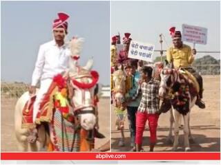 Video: मेरी शादी करवाओ... दुल्हन की तलाश में घोड़ी चढ़े सैकड़ों युवकों ने निकाला मार्च