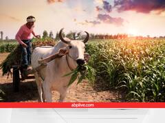 किसानों के लिए बड़ी खुशखबरी! 29 दिसंबर तक खाते में पहुंच सकते है 3,500 रुपये, 2 दिन में पूरा कर लें ये काम