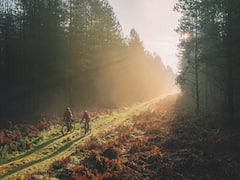 Know Why Communicating Natural History Is Need Of The Hour