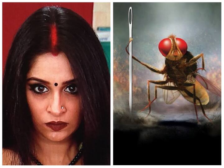 दीपिका कक्कड़ के शो ससुराल सिमर का में जब मेन कैरेक्टर को मक्खी बना दिया गया और जिस तरीके से वीएफएक्स का प्रयोग किया गया, उसे देख दर्शकों को खूब हंसी आती थी. (Photo Credit- Colors)