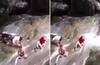 Shocking Video: ਝਰਨੇ 'ਚ ਅਚਾਨਕ ਆਏ ਹੜ੍ਹ 'ਚ ਵਹਿ ਗਏ ਦਰਜਨਾਂ ਲੋਕ, ਵੀਡੀਓ 'ਚ ਕੈਦ ਹੋਇਆ ਖੌਫਨਾਕ ਦ੍ਰਿਸ਼