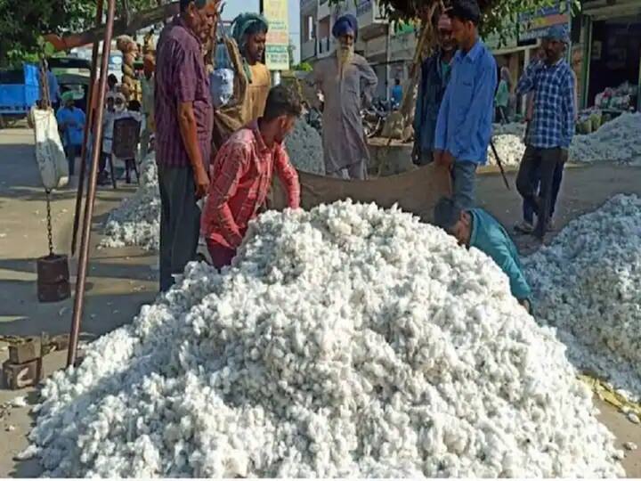 Karimnagar News Farmers not Interested Purchase Cotton Even Authorities Ready Karimnagar News: పత్తి కొనుగోలుకు అధికారులు సిద్ధమైనా ఆసక్తి చూపని రైతులు!