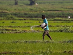 Budget 2023: Govt May Cut Fertiliser Subsidy To Reduce Budget Deficit, Says Report