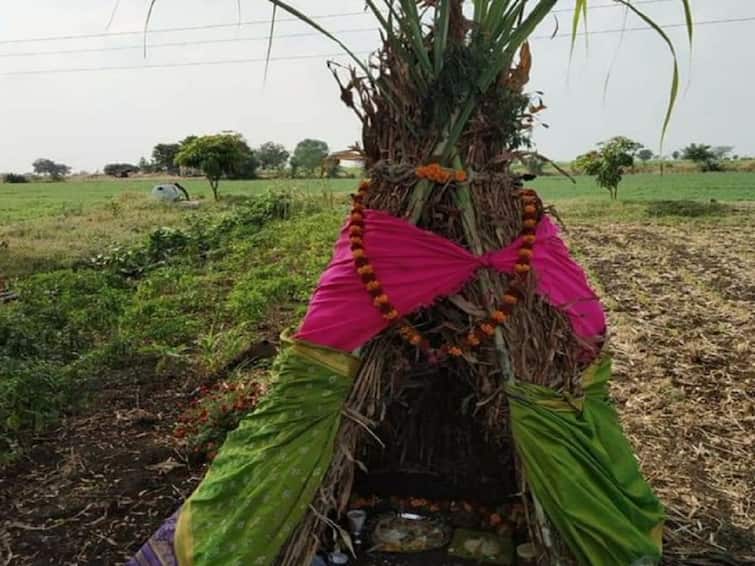 Maharashtra Marathwada News Today Vel Amavasya Festival In Marathwada Vel Amavasya हिरवाईचा