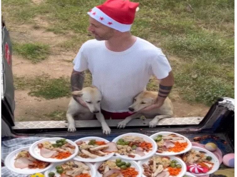 Man Hosts Christmas Feast For 100 Stray Dogs, Gives Them Gifts, Netizens Call It 'Inspiring' Man Hosts Christmas Feast For 100 Stray Dogs, Gives Them Gifts, Netizens Call It 'Inspiring'